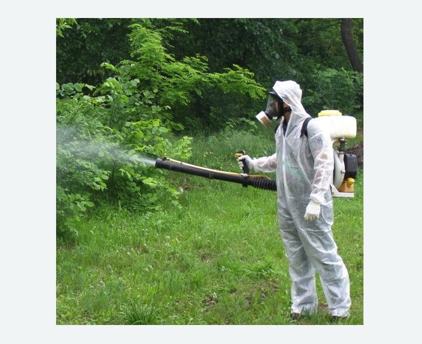 обработка территории от клещей в Колчаново