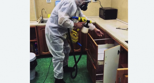 Уничтожение насекомых в квартире. Колчаново