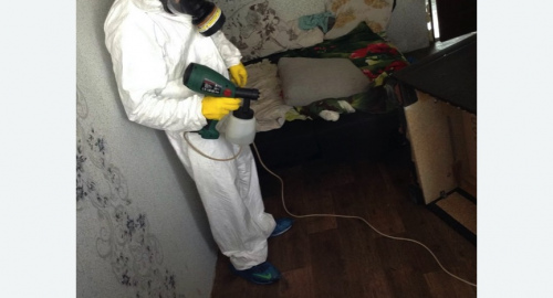 Обработка квартир от насекомых в Колчаново