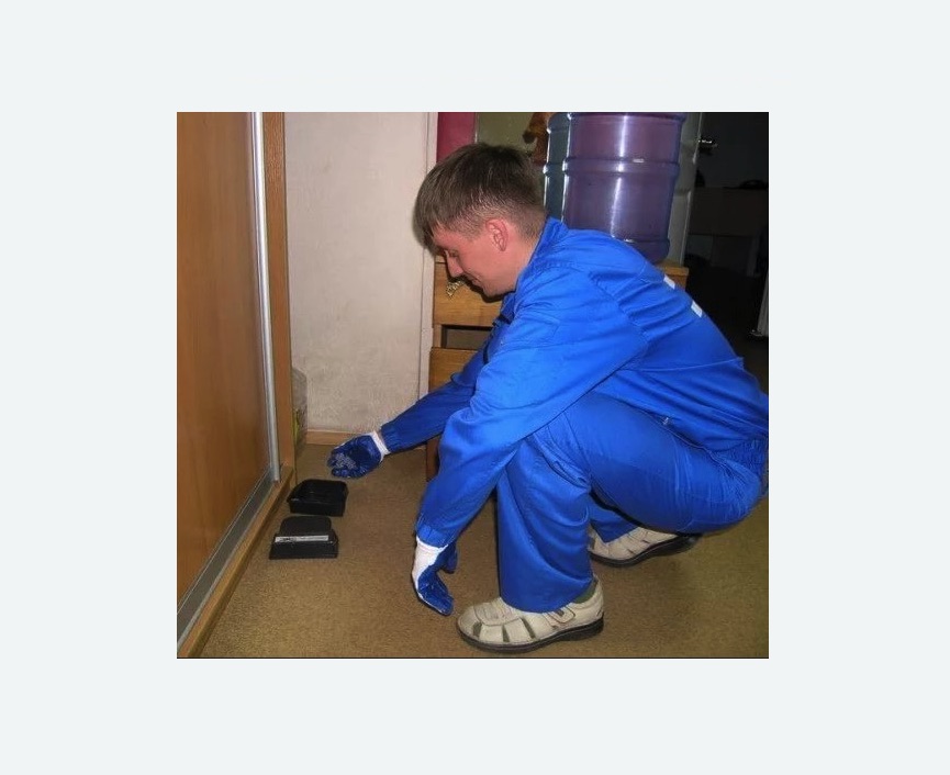 Дератизация крыс в Колчаново