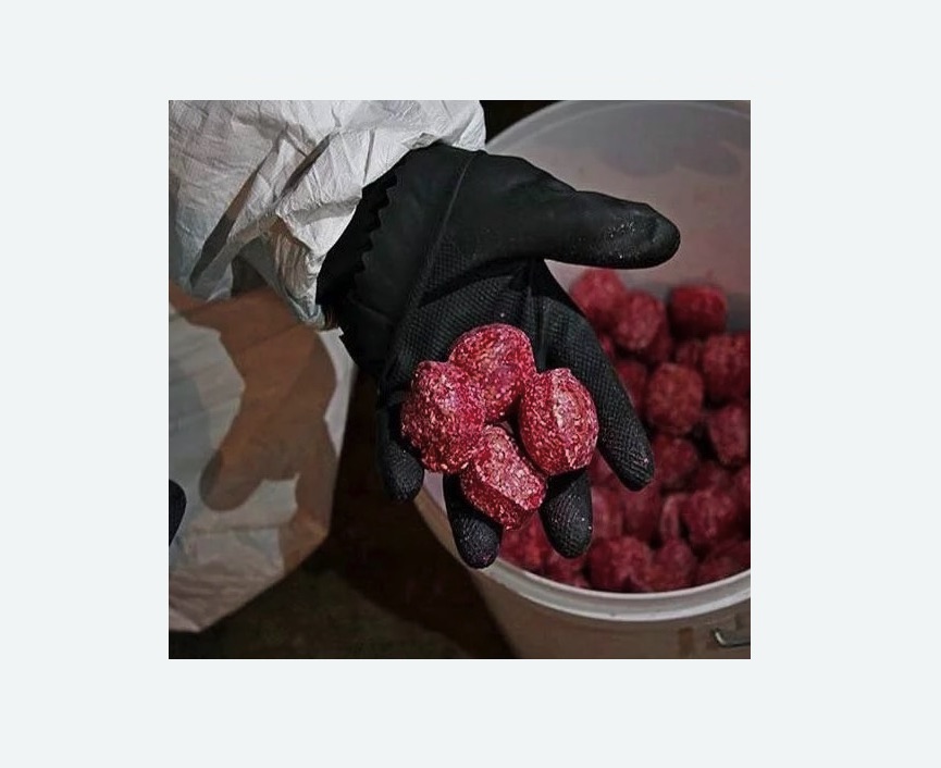 Обработка от крыс в Колчаново