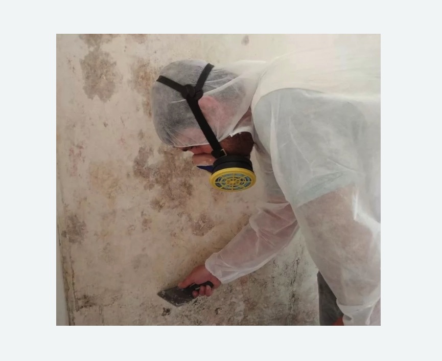 Обработка стен от плесени в Колчаново