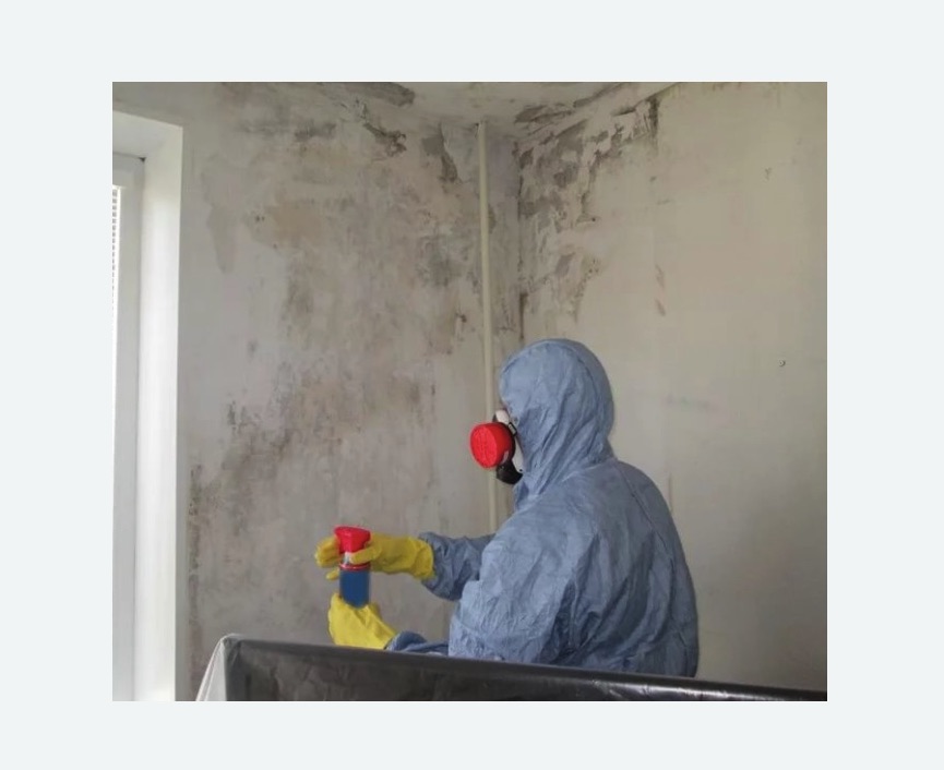 Удаление плесени в квартире в Колчаново