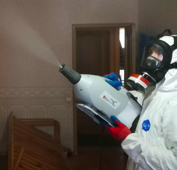 дезинсекция помещения в Колчаново