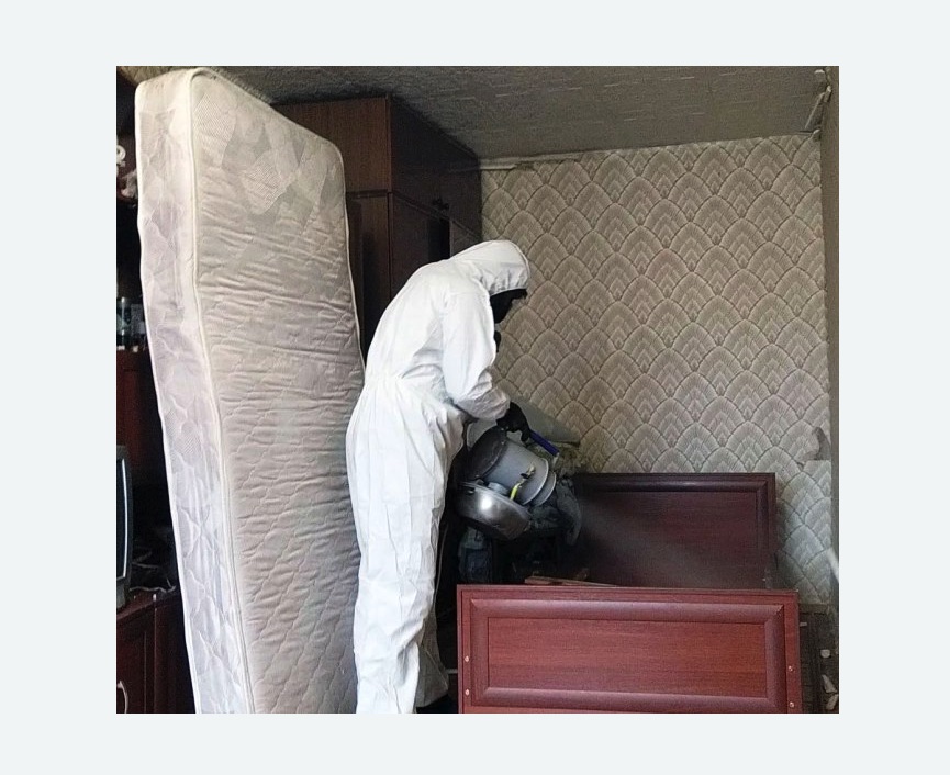 дезинфекция от клопов в Колчаново