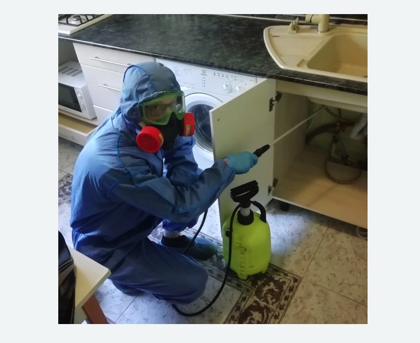 обработка от муравьев в квартире в Колчаново