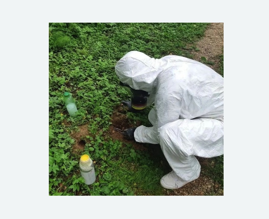 уничтожение кротов на участке в Колчаново