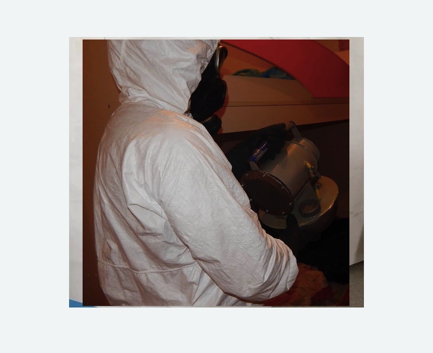 Дезинфекция от муравьев в Колчаново