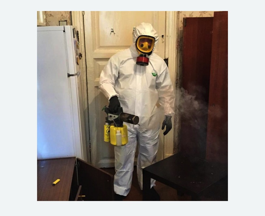 уничтожение муравьев в квартире в Колчаново